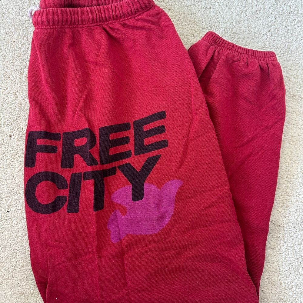 super cute free city sweat pants. barely worn